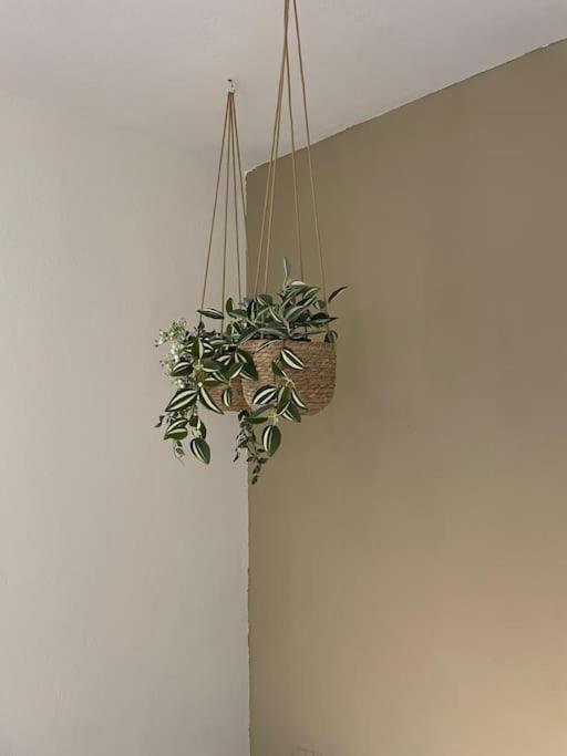 Almond Home Livadia  Zewnętrze zdjęcie